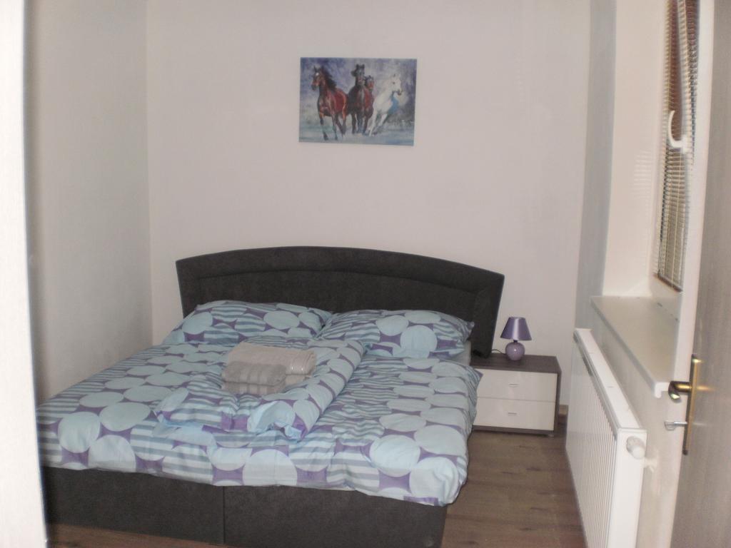 Apartmany Eva Frymburk Zewnętrze zdjęcie